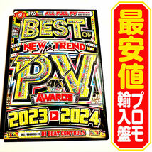 【洋楽DVD】Best Of PV Awards 2023〜2024 プロモ盤P_画像1