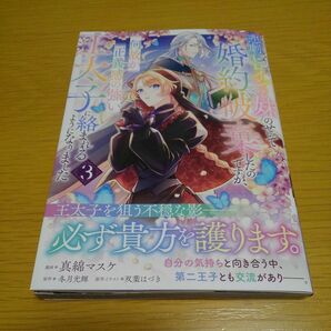 悲劇のヒロインぶる妹のせいで婚約破棄したのですが、何故か正義感の強い王太子に絡まれるようになりました　３ 