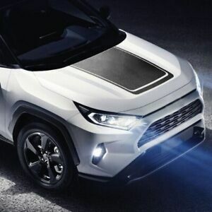 グラフィック デカール ステッカー 車体用 / トヨタ Rav4 2018- / ラージ フード ボンネット ブラックアウト デカール #2