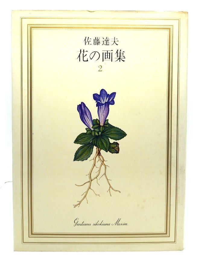 佐藤达男 Flower Art Book 2/佐藤达男(作者)/中日新闻东京总社东京新闻出版局, 绘画, 画集, 美术书, 收藏, 画集, 美术书