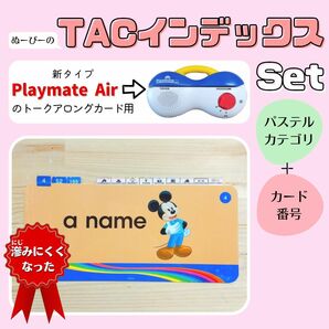 パステルインデックスセット TAC ディズニー英語システム ワールドファミリー　トークアロングカード　プレイメイトエアー