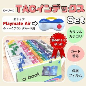 インデックスセット+保護フィルム TAC DWE ディズニー英語システム