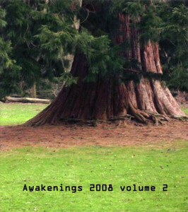 ★Awakenings 2008 Volume 2 VA-2CDr-USED,UK,Electronic Style: Electro, Ambient,,送料：180円～。。