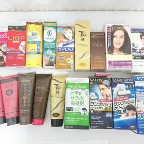 【未使用品～USED品】白髪染め ヘアカラー剤 おまとめ18点セット/白髪用/ヘアマニキュア/ブラウン/ブラック/ヘアケア/高陽社他/8-RYQ71の画像1