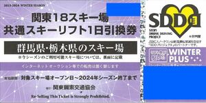 たんばらスキーパーク、川場スキー場　リフト1日引換券　二枚セット