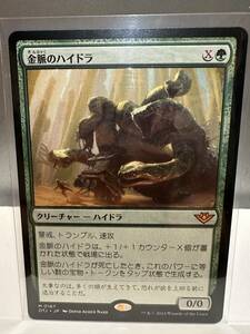 MTG　金脈のハイドラ　Goldvein Hydra　日本語版　1枚　サンダージャンクションの無法者　