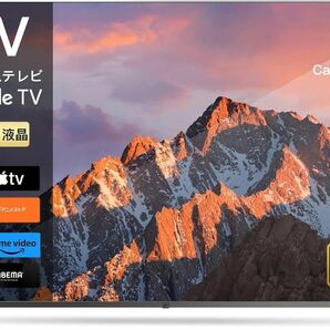 FPD チューナーレステレビ 55V型 4K Google TV （CG55-C2 2024年モデル）