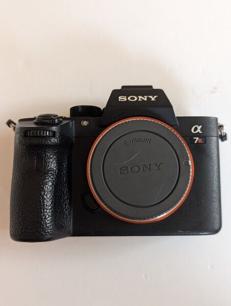 純正+Neewerバッテリー付きILCE-7RM3 ボディ ミラーレス一眼 Sony a7RIII