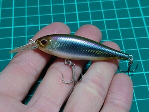  Evergreen used Bank Shad bus lure popular color explanatory note obligatory reading date strict observance 