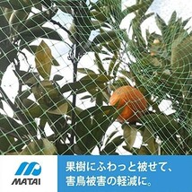 【新品送料無料】マルソル(MARSOL) ふわっと蝶鳥 10ｍｍ角目 4ｍ×5ｍ モスグリーン色_画像7