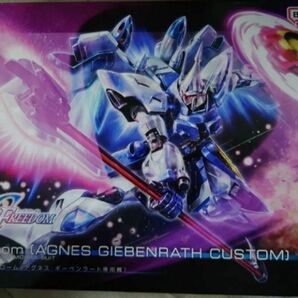 バンダイ ガンプラ HG 機動戦士ガンダムSEED FREEDOM ギャンシュトローム