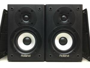 Roland ローランド CM-220/CM-110 CUBE MONITOR モニタースピーカー