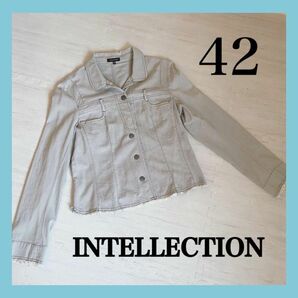 INTELLECTION ワールド　レディース　ジャケット　薄手　グレー　LL