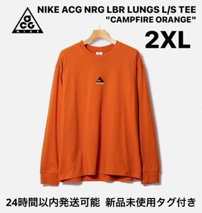 【完売品】NIKE ACG NRG LBR LUNGS L/S TEE