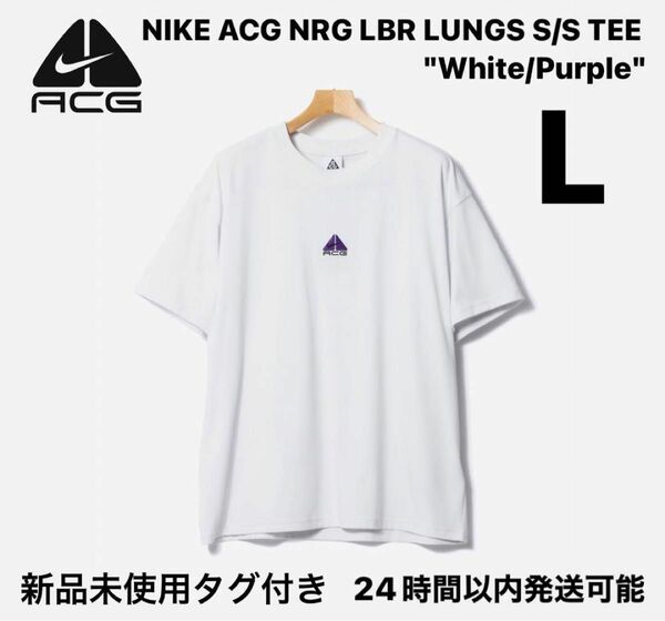 【完売品】NIKE ACG NRG LBR LUNGS S/S TEE L