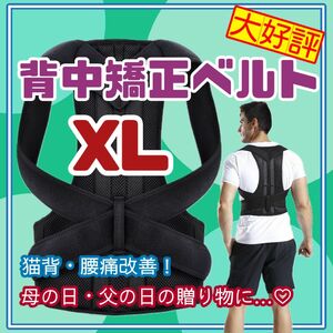 XLサイズ　背中　矯正　ベルト　メンズ　猫背　サポータ　リモート　介護　保育士