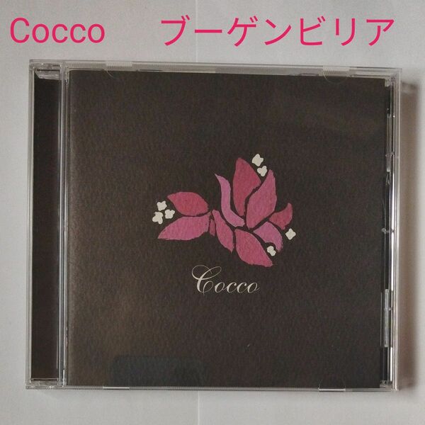 Ｃｏｃｃｏ／ブーゲンビリア