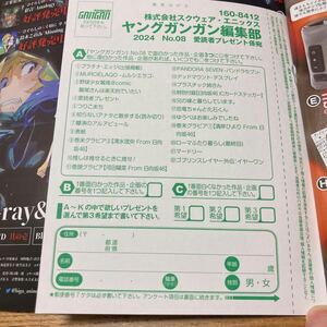 ヤングガンガン2024年8号　抽プレ懸賞応募ハガキ １枚　日向坂46 河田陽菜 デッドマウント・デスプレイ　QUOカード 