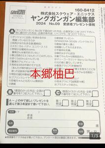 ヤングガンガン 抽プレ懸賞応募ハガキ ヤングガンガン2024年9号　抽プレ懸賞応募ハガキ１枚