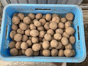  Tokachi ima farm kita red liM8kg..... north ... Hokkaido potato easy shipping Yupack 