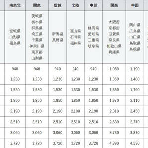 サッカープレコ 約15ｃｍ コケ取りに 2匹の画像2