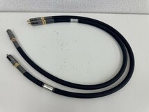 D140-S3-14021 phonon Ver,1.03プラチナ導体 WBT-0108 0.8ｍ 現状品①_画像1