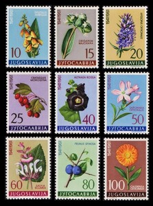 zα57y5-1y　ユーゴスラビア1961年　薬用植物・9枚完