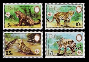 zα170y2-5b Berry z1983 year WWF* Jaguar * animal *4 sheets .