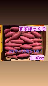 茨城県産 さつまいも すずほっくり 2Sサイズ1.4kg 