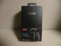 Fostex TM2C Bluetooth 完全ワイヤレスイヤホン MMCX着脱　フォステクス_画像1