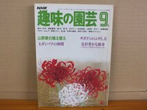 NHK 趣味の園芸 昭和57年9月 山野草の植え替え_画像1