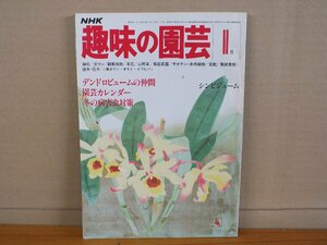 NHK 趣味の園芸 昭和56年1月 デンドロビュームの仲間