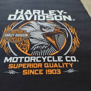 GW特価ラスト１枚 鷹 大 80cm x 200cm ピットマット バイクマット メンテナンスマット ハーレーダビッドソン HARLEY DAVIDSONの画像2
