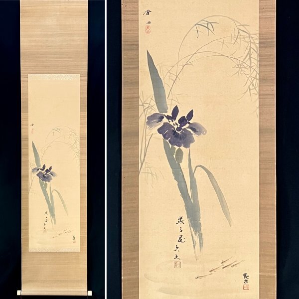 [Authentic work] Hōko Murakami and Kanko Kudo Daiten collaboration Iris Flower Picture Hanging Scroll Silk Flower Picture Japanese Painting Japanese Art Kakitsubata p040306, painting, Japanese painting, flowers and birds, birds and beasts