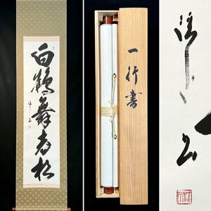 【真作】矢野渓水「白鶴舞老松」掛軸 紙本 書 茶道具 茶掛け 共箱 ｈ042417