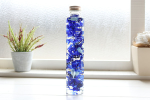Гербариум синие цвета украшенные украшения цветочных цветочных файлов. Комплект набор для бутылки комплект набор для выдержанных днем