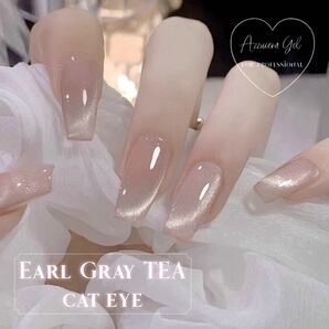 Earl gley Tea cat eye magnet gel ◇マグネットジェルネイル◇の画像1