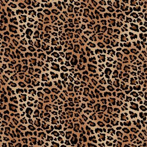 USAコットン Blank Quilting Leopard レオパード 豹柄 45