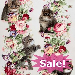 【10%OFF】1m 国産シーチング キルトゲイト 薔薇と子猫ボーダーピンク