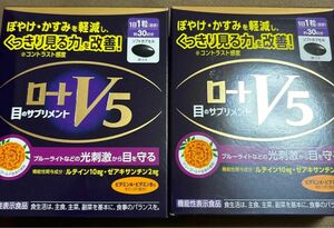 期間限定値下げロートV5a 目のサプリメント30日分 2個セット