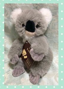 PREMIUM TEDDY&FRIENDS koala soft toy My Name is KACEE 15.. oh premium teti&f lens sido knee Australia 