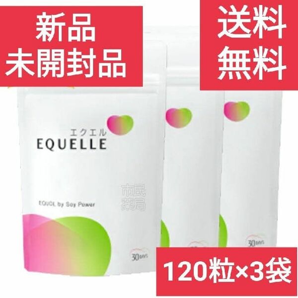 3袋 送料込 エクエル EQUELLE パウチ 120粒 約 30日分 大塚製薬