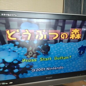 Nintendo64 本体(NUS-001) コントローラー(NUS-005)3点 ソフト付 動作品 任天堂64 どうぶつの森 マリオ パワプロ ポケモンスタジアムの画像9