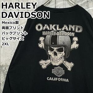 【入手困難】HARLEY-DAVIDSON ハーレーダビッドソン スカル バックロゴ 両面ビッグプリント 黒 2XL ロンT ビッグサイズ 大きいサイズ
