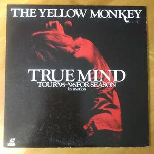 *LD~ THE YELLOW MONKEY * TRUE MIND TUUR'95-'96FOR SEASON in motion