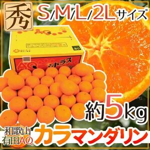 【夏のみかん！！】AQ和歌山　カラマンダリン　5kg 2L〜 S