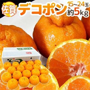 【日本最安値？！】佐賀県産デコポン　5kg 15〜24玉