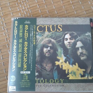  カクタス CACTUS『カクトロジー:カクタス・コレクション』帯付き国内盤 ソフトケース入り★同封可能の画像1