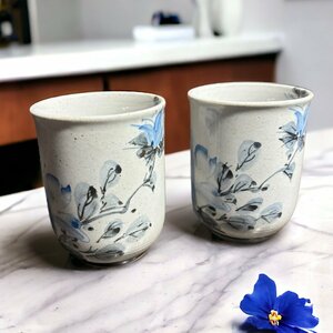 【FU10】【2客セット】九谷焼 星香 染付 向付 湯呑み 茶器 茶碗 茶道具 器 陶器 骨董品