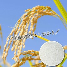 令和5年 10kg コシヒカリ 米 新潟産 お米 こしひかり_画像8